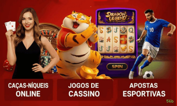 Sistemas de Segurança 56b